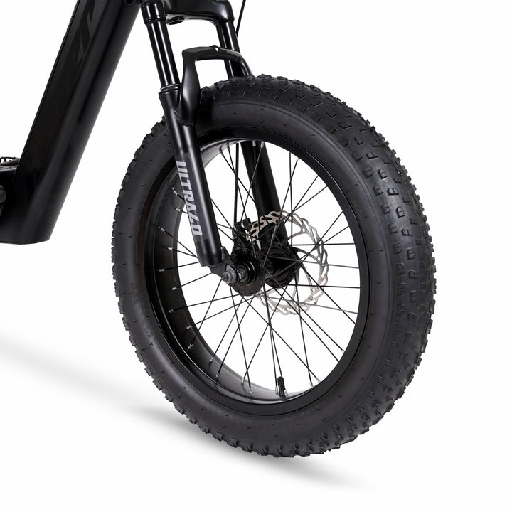 Flow Electric E-BIKE 20×4.0 h.kさん専用 20in-hyper-ultra-40-electric-