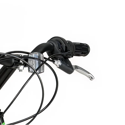 24in Hyper Bear Mountain - LEFT SHIFTER