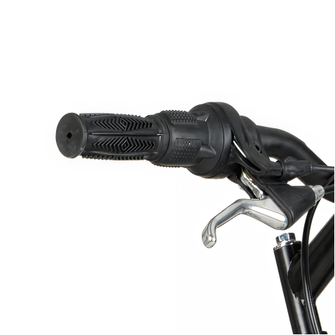 24in Hyper Bear Mountain - GRIPS