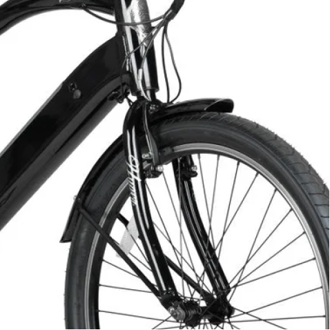 26" E-Cruiser Mens - Fork with Design